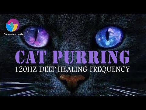 Cat Purring Healing Frequency ➤120Hz ➤ Relieve Anxiety & Stress ➤ Humans & Cats