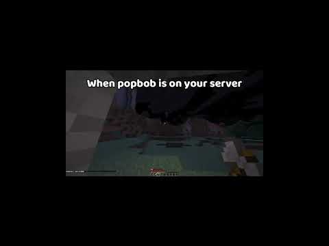 when pobob is on your server  #2b2t #minecraftserver #popbob #2b2treborn #minecraft #anarchy #meme