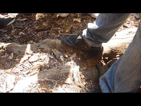 The war of the buttons trailer 435b