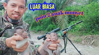Download lagu two monkey points at once mp3