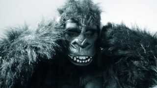 Luke Haines - British Nuclear Bunkers - Official Video