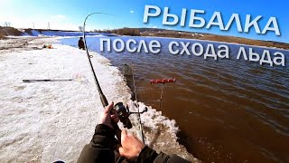Ловля карася сразу после схода льда