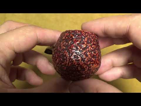 Pipa L'Anatra Rusticata - Hawkbill - AN171