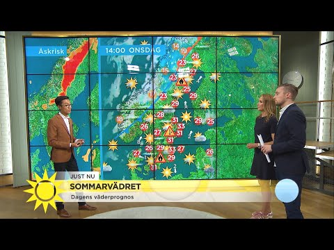 Dagens väder: ”Här kan det tidvis bli rätt så intensiva regn, hagel och åskskur - Nyhetsmorgon (TV4)