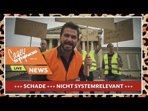 Cagey Strings - Schade Nicht Systemrelevant