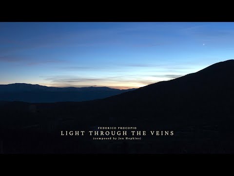 Federico Procopio - Light Through the Veins (Jon Hopkins cover)