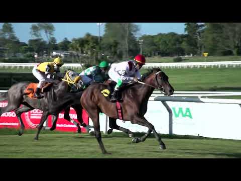 220128 c04 GALA DINNER (BRZ)