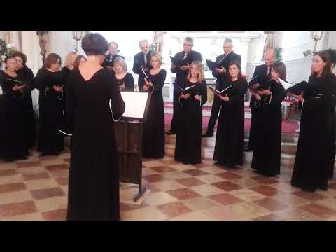 Agni Partene – Sv. Nektarije Eginski