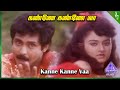 Pattukottai Periyappa Movie Songs | Kanne Kanne Vaa Video Song | Anand Babu | Mohini | Deva