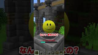 Q.なんでベリティは黄色いの??　#shorts #マイクラ #ベリティ