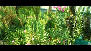 National Botanic Garden of Wales