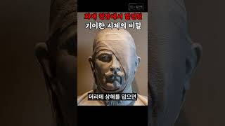 Download lagu The Bucheon Video Store Murder Case mp3 Download lagu The Bucheon Video Store Murder Case mp3