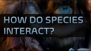 How do Species Interact?