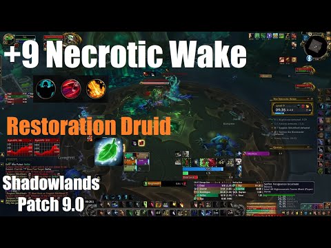 +9 Necrotic Wake Chested - Night Fae Restoration Druid PoV - World of Warcraft Shadowlands