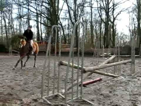 Cheval & Poney : Mon Centre Equestre Manager PC