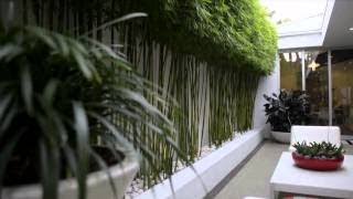 Bamboo Garden Design Idea Asian Landscaping Concept