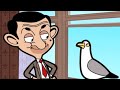 A New Friend Season 2 Episode 28 Mr Bean Cartoon World