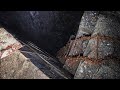 Mysterious Ladder Leading Down into Underground Abyss - Would you go down?