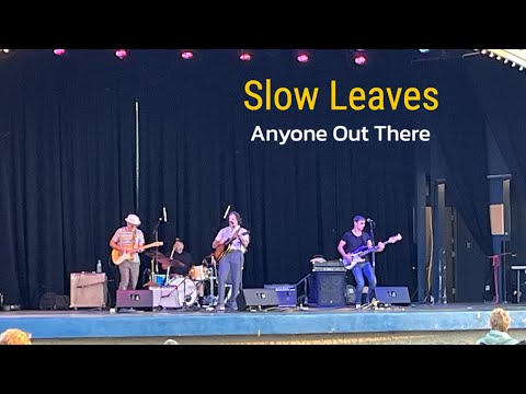 Anyone Out There - Slow Leaves