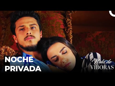 Volaron Las Sorpresas - Nido De Víboras