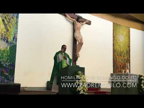 Homilia do IV Domingo Tempo Comum