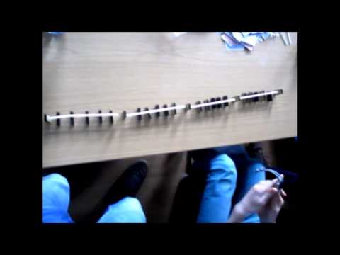 Kontinuierliche und saltatorische Erregungsleitung