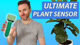 Ultimate Smart Home Plant Sensor: Apollo Automation PLT-1