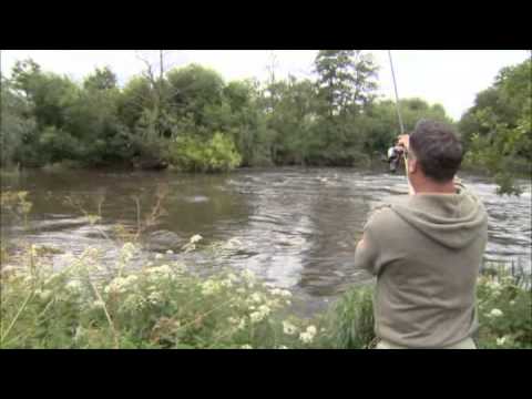 Fishing Gurus - Season 3 - Episode 5 - River Kennet, Wiltshire - Trailer