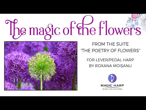 The magic of the flowers by Roxana Moișanu | Happy Romanian Flavour Music on Celtic Harp