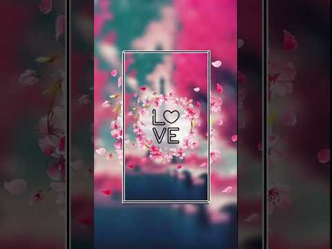 Geef je me love (by joshua)