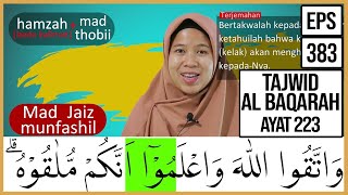 Download lagu EXPLANATING THE TAJWID OF SURAH AL BAQARAH, VERSE 223, ITS MEANING, HOW TO READ & EXAMPLES OF PRO... mp3