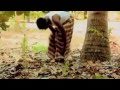 Beka Natumaini Remix Official Video