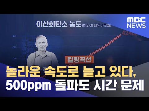 아이콘