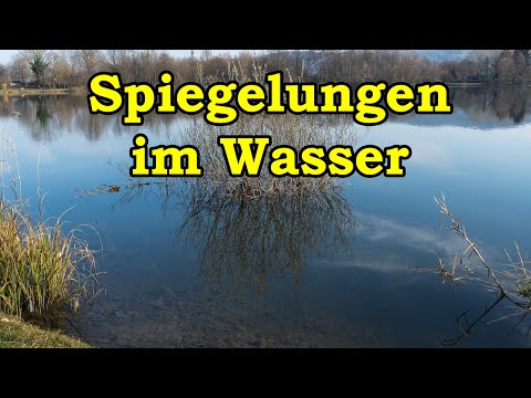 Spiegelungen im Wasser am Wiesensee (Es hat zwei Versuche gebraucht!), Kurzbericht auf der Homepage!