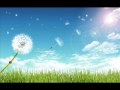 Robert Bonfiglio－The Wind Beneath My Wings