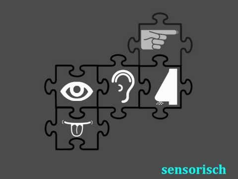 Myers-Briggs-Typenindikator Video Tutorial - Teil 2/3