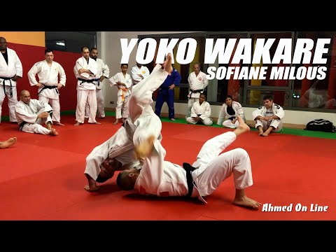 Judo Tachi Waza | Yoko Wakare by Sofiane Milous, 2010 European Champion