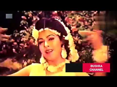 বেলী ফুলের মালা পড়ে Beli fuler mala pore  ছায়াছবি   বেপরোয়া