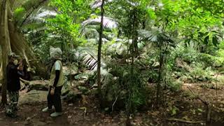 พืชและสัตว์ในหุบป่าตาด ตอน 1