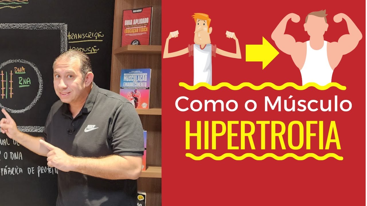 Como o Músculo Hipertrofia?