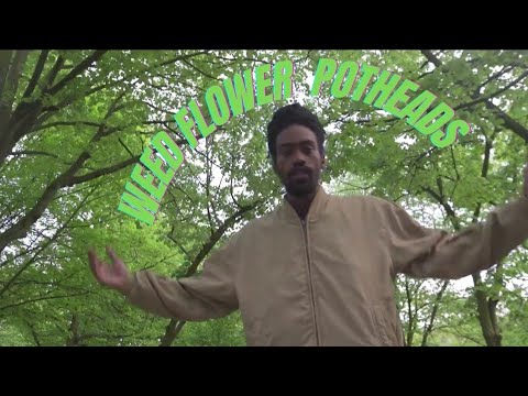 Weed Flower Pot Heads (con Tesla Alset DJ Educut)