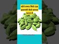 Elaichi Benefits Elaichi Ke Fayde Nutrients In Cardemum Shorts Healthtips Ytshorts ‎ Hivi Fitz
