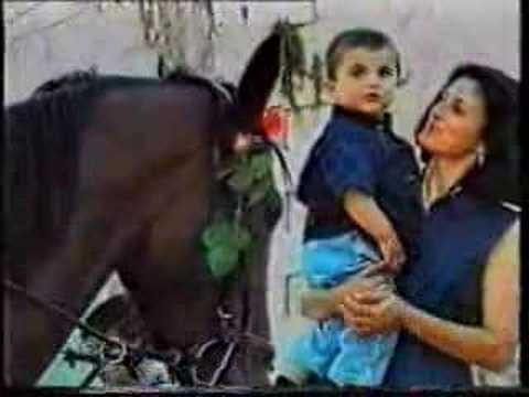 TERRA MIA (Soleandro)