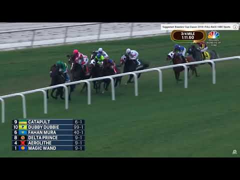 2019 Shoemaker Mile Anaylsis