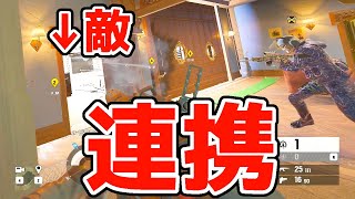 【R6S】シージは連携する立ち回りが最高に楽しい！ レインボーシックス シージ