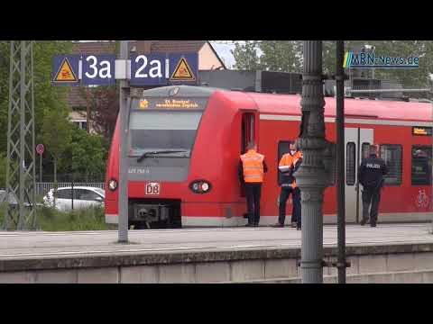 Schifferstadt Person von Zug erfasst