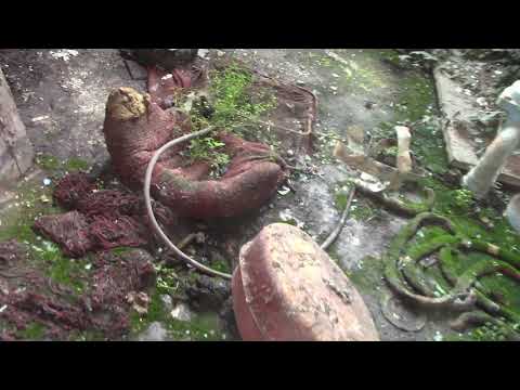 Elhagyatva Magyarországon 6. - Petőfi Sándor Laktanya 2.rész