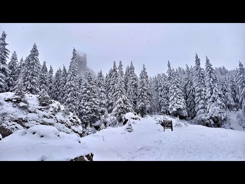 Muntii Rarau-Pietrele Doamnei-Piatra Soimului iarna (Bucovina)
