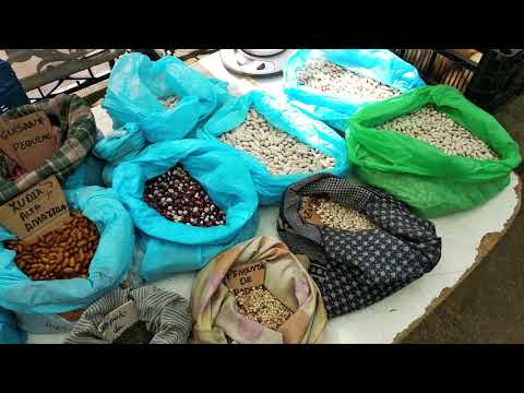 Camino Portugues 2019 Folge 12/11 Santiago de Compostela