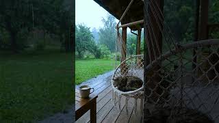 Rainy Day Bliss: Cat & Coffee on the Porch 🌧️☕🐈